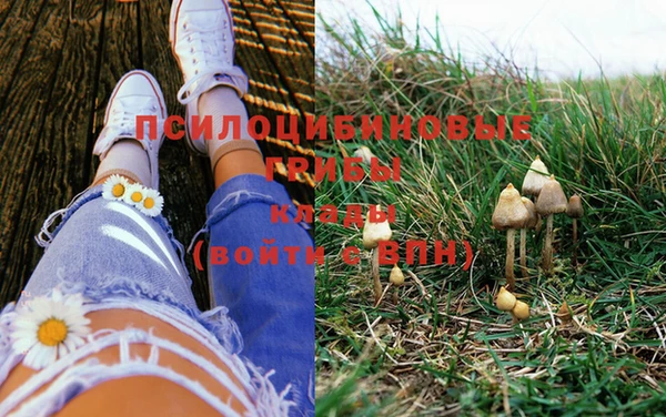 кокс Пестово