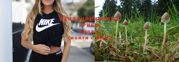 кристаллы Кущёвская