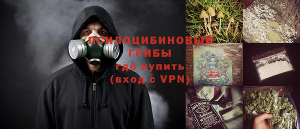 гидра Переславль-Залесский