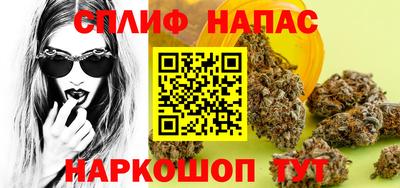 2c-b Кингисепп