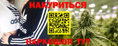 2c-b Кингисепп