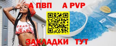 2c-b Кингисепп