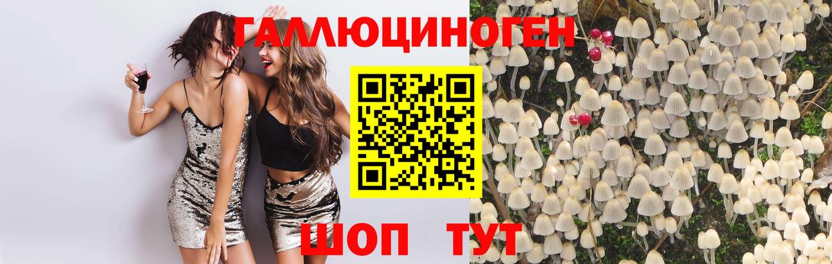 Галлюциногенные грибы Magic Shrooms Курганинск