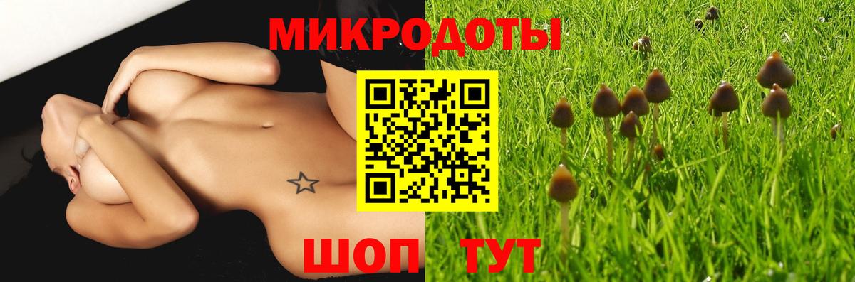 Псилоцибиновые грибы мицелий  Вход с VPN  Курганинск 
